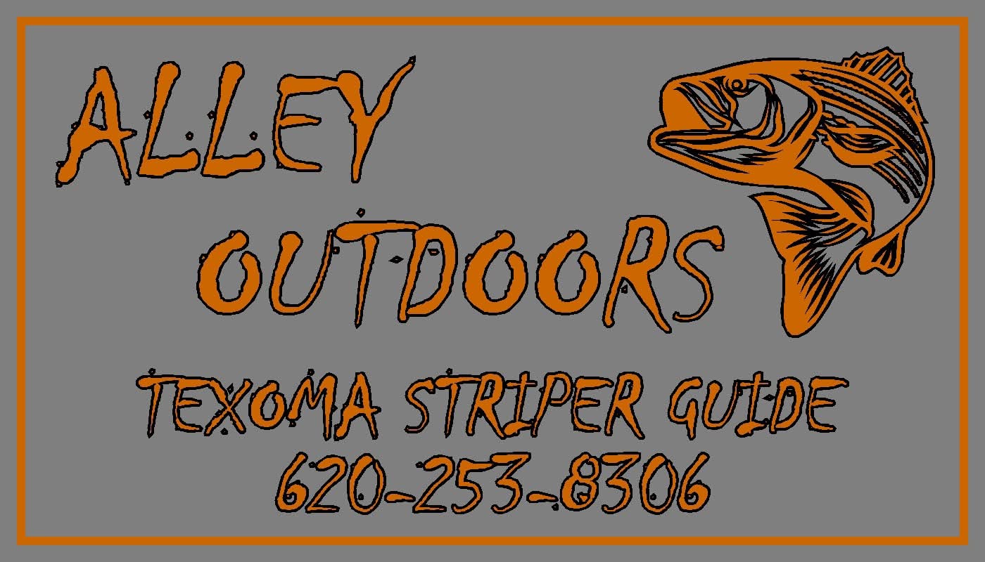Alley Outdoors logo